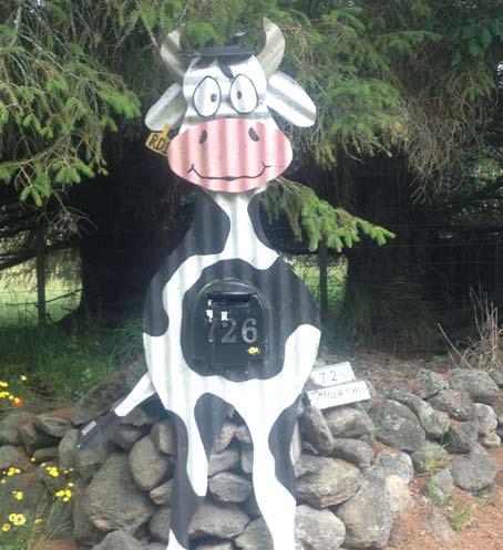 People in New Zealand just love their wacky mailboxes, but this one wins the weekly prize for its sculptural quality, humor, and originality. You would rarely see this in the USA -- Why is that?