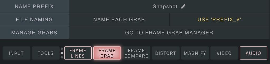 Frame Grab and Frame Compare With the Frame Grab tool, you can take a snapshot of the current video frame by tapping the FRAME BUTTON and store it in the Frame Grab Manager.