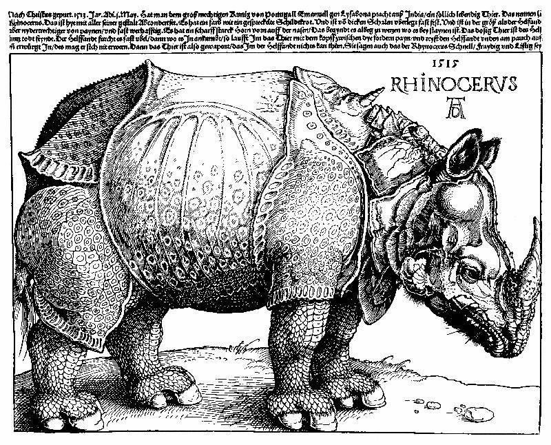CHAPTER SIX The German Illustrated Book His illustration entitled Rhinoceros was reprinted in eight separate editions over the next three hundred years.
