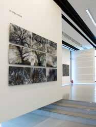 Hubertus von Amelunxen In Transition. 2010. Lambda print on diasec. Three 205 x 44 cm triptychs hung in a grid. Euphoria & Beyond exhibition at Empty Quarter Gallery, Dubai. 2011.