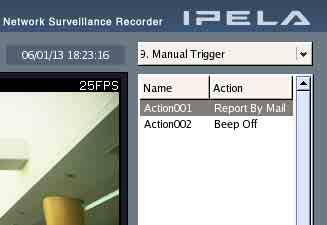 Manual Trigger You can execute registered actions manually.