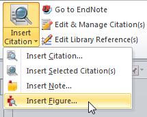 EndNote X7 Tutor Led Manual v1.7 INSERTING FIGURES ADVANCED TOOL 1. Place your cursor where you want to insert the figure. 2. Select Insert Citation in the Citations group on the EndNote tab. 3.