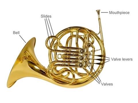 French Horn A French Horn (or Horn for short) is the big brass instrument that looks like a big cinnamon roll with a bell at the end.