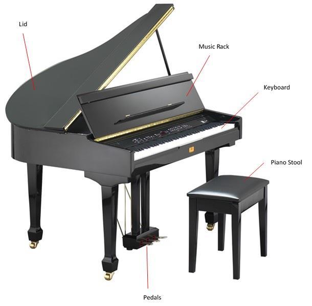 Piano The piano is one of the most popular instruments in the world. It s one of the first instruments a lot of musicians and composers become familiar with.