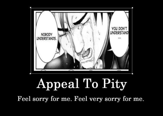APPEAL TO PITY An appeal to pity (also called argumentum ad misericordiam) is a fallacy in which someone tries to win support for an
