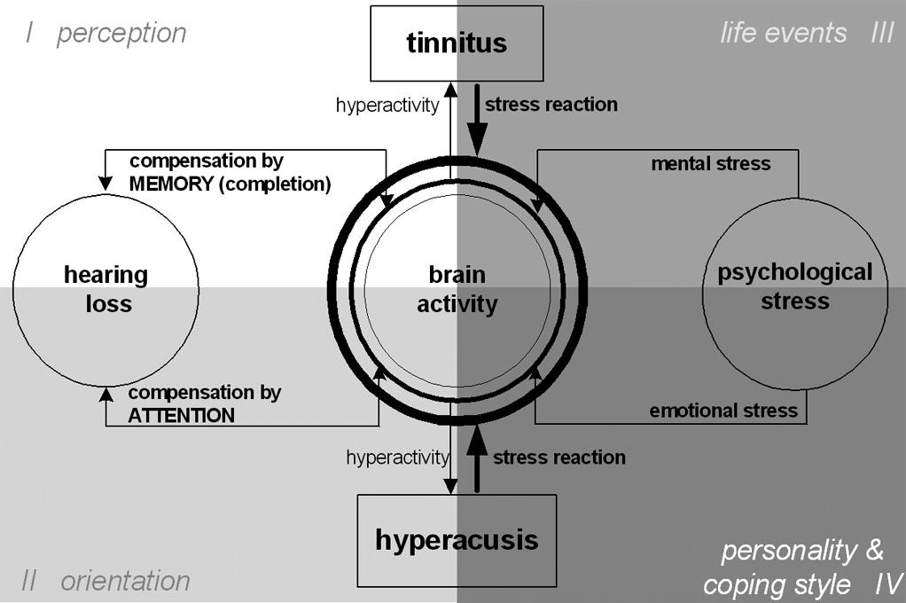 hippocampal and frontal-temporal network activation 70, 72. From this perspective hyperacusis is not a pretinnitus state, but a symptom of its own with a distinct role in orientation.