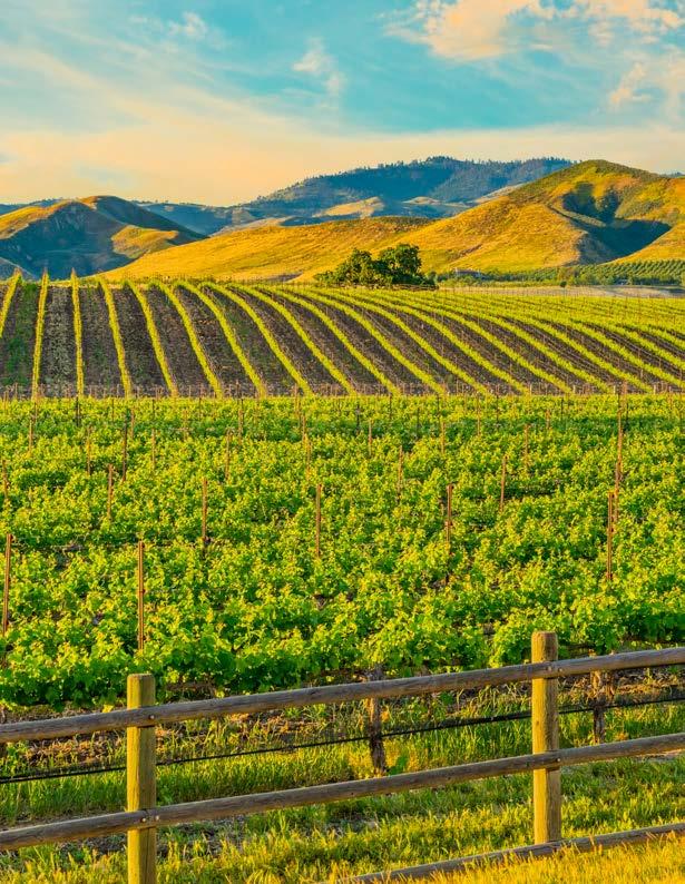 Sonoma, CA June 9 16, 2019 Craig Hella Johnson: Considering Matthew Shepard Gary Thor Wedow, conductor Green Music Center California s Sonoma County is known worldwide for its magnificent coastline,
