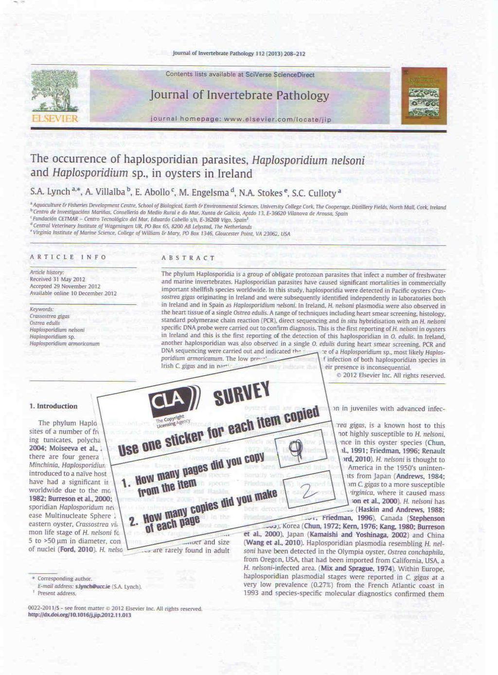 Identifier Page + Data Label, without ISSN and when photocopying from a printout of a digital original* (journal/periodical)