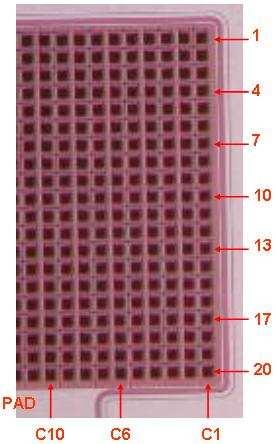 Pulse shape uniformity of 50um pitch samples position number of pixels(upper left),