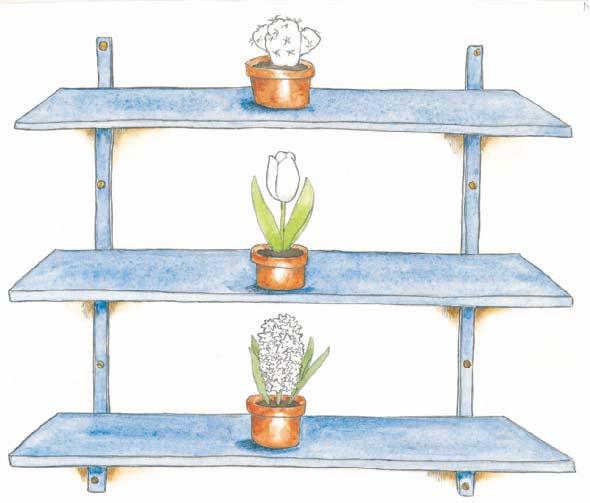 Macmillan/McGraw-Hill Vocabulary: top, middle, bottom Identify and point to the top, middle, and bottom shelves as you say each position word. Color the plant on the top shelf green.