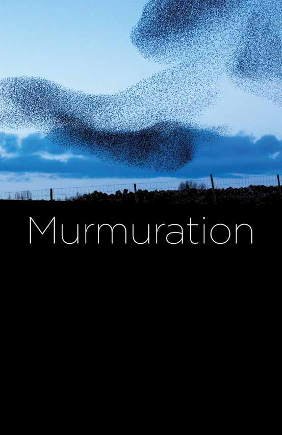 In celebration of their bicentennial, Christ Church Cathedral has commissioned a new starling-inspired art installation by acclaimed artist Anne Patterson.