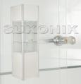Item Small glass show case H: 246 cm W:
