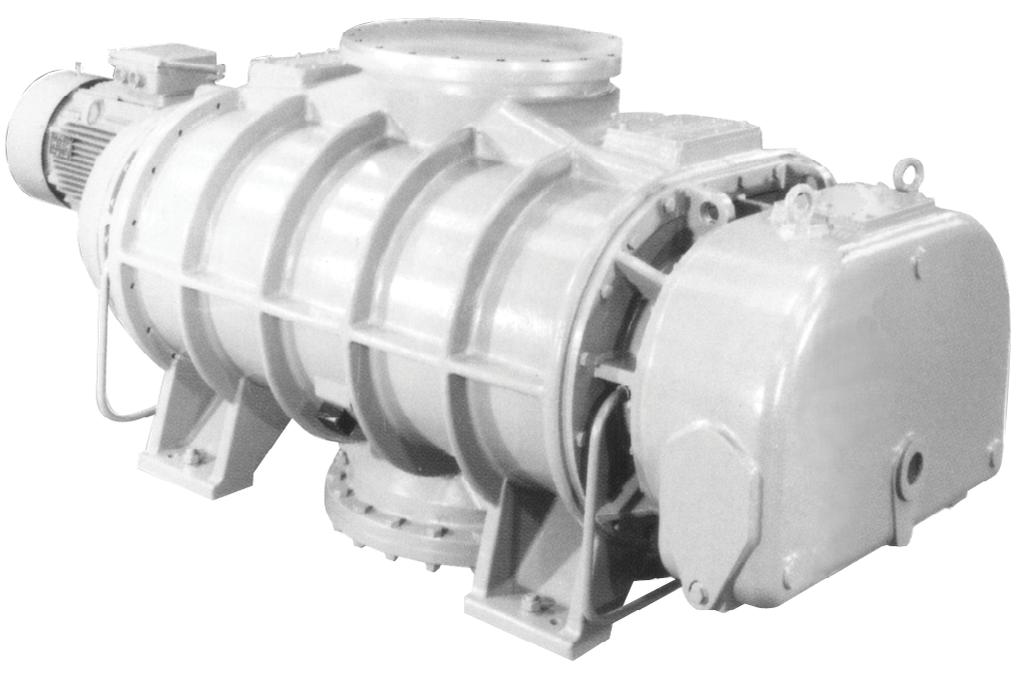 HV0000/40000 MECHANICAL BOOSTER PUMP MAXIMISE YOUR PRODUCTIVITY AND PERFORMANCE HV0000/40000 is a high capacity