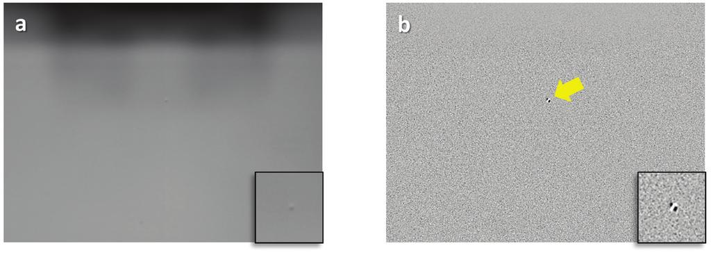 WAFER DEFECTS Figure 2: Images collected via (a) standard vs. (b) enhanced vision of a bare silicon wafer with one small defect. The insets show magnified views.