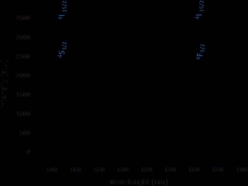 Fig. S27 FTIR spectrum of (a) PEI covered UCNP,