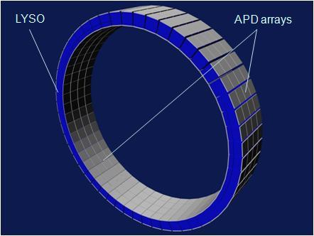 In Figure 5 the arrays of APDs are already coupled to the detector crystals, because of the limited size of those APD arrays we need 2 arrays for every detector crystal.