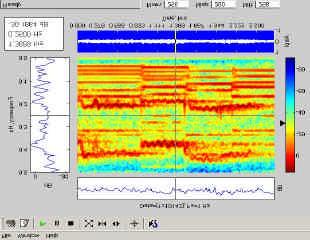13), using the Spectrum Analysis button from the Action Menu (see Fig 12).