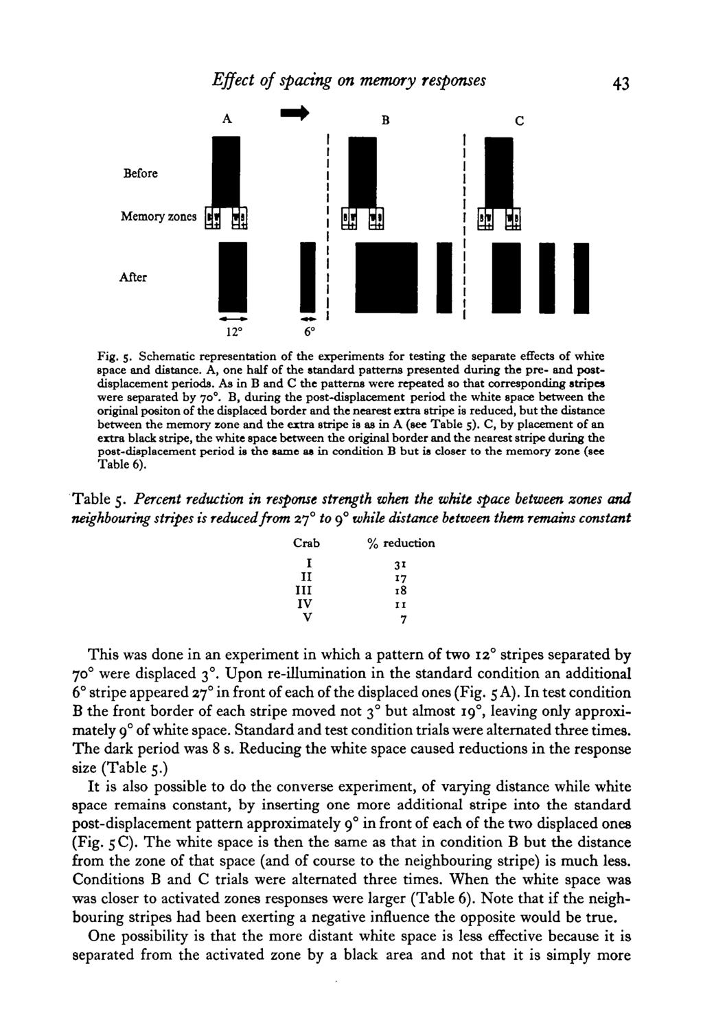 Effect of spacing on memory responses 43 After mi Fig. 5. Schematic representation of the experiments for testing the separate effects of white space and distance.