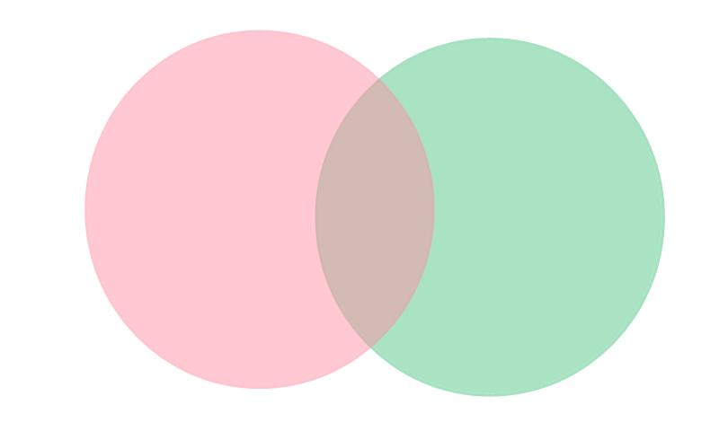 Venn Diagram: Complete the Venn Diagram to compare and contrast Stone Fox and Willy.