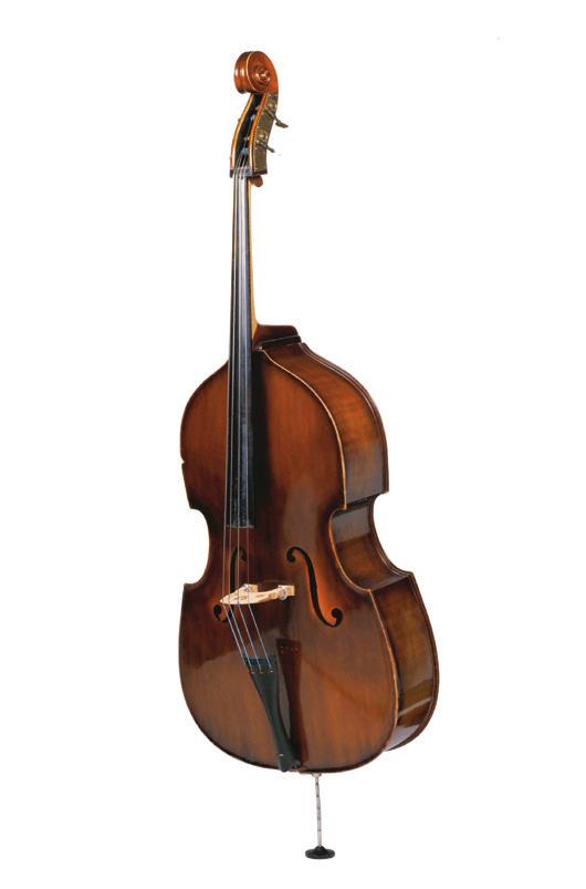 Family Musical Fact viola cello French horn timpani string string