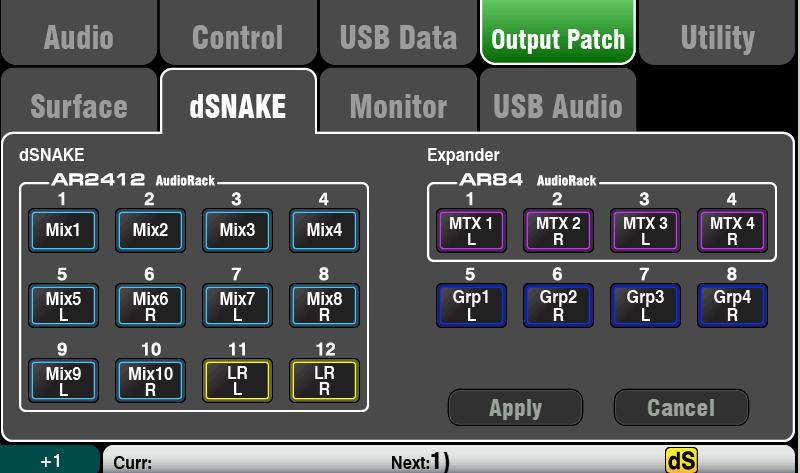 These are shown as: dsnake The first (main) AudioRack connected. Expander The second (expander) AudioRack. dsnake outputs can be patched with or without physical AudioRacks connected.