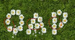 : The dsm_flowercapitals ClipFont The next figure shows exactly where the fonts are different and what we would like to emphasize: In the dsm_standardcapitals ClipFont the individual daisy Clips