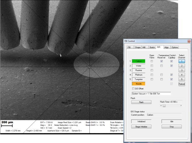 Figure 41 The GIS viewed at low magnification in the E image. The rightmost tube is Carbon (1) and the numbers move from right to left, ending on the other side with Tungsten (5).