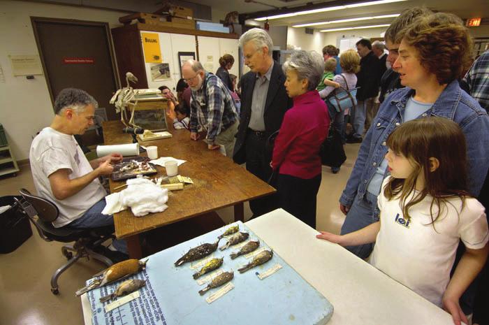 Start with The Field Museum Highlights: Start the day in our grand Stanley Field Hall with a docent-led tour of the Museum s history and highlights.