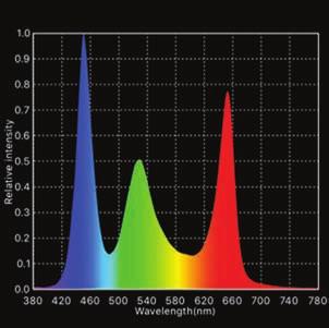 The four-color TIR homogenizers in the RGBW models do a reasonable job of combining the colors into a single beam.