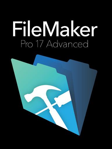 The ilemaker Pro Advanced product logo is a variation of
