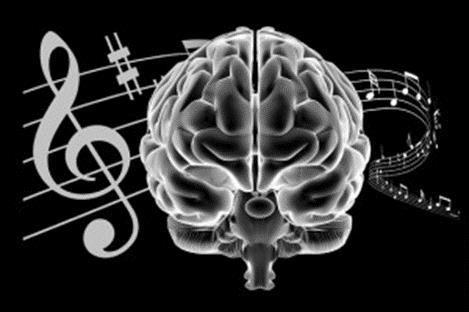 Neural researchers at Northwestern University in the United States have found that students who had musical training in childhood were better able to pick out a wider range of essential elements of