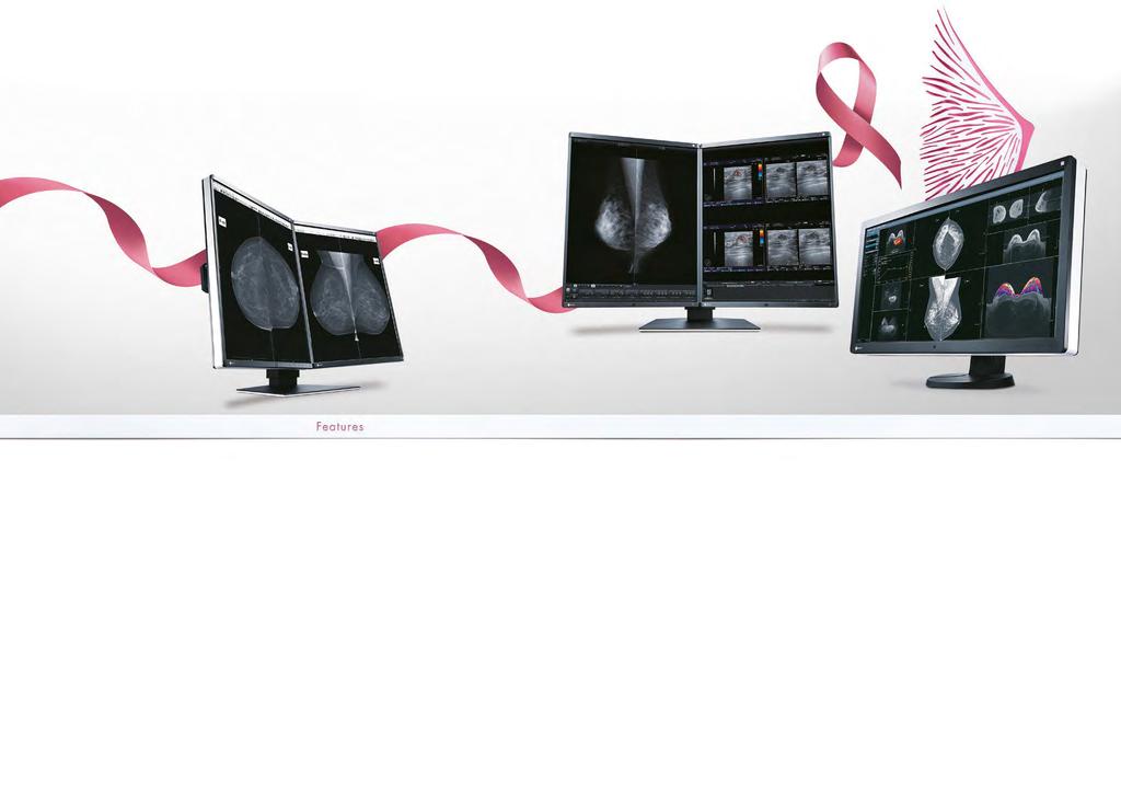 Breast Imaging Monitors It is vital in the process of early breast cancer detection that