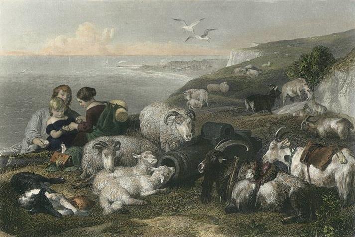 The conclusion the Tate Gallery offers to this is that the sheep in Our English Coasts represent the volunteers.