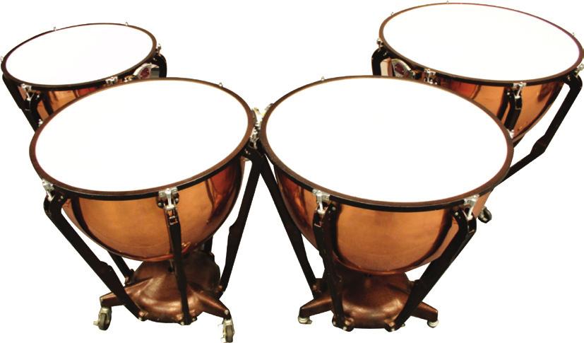 Instrument Sounds: Percussion The percussion family is very diverse! Percussion instruments include any instrument that produces sound when it is struck, shaken, or scraped.