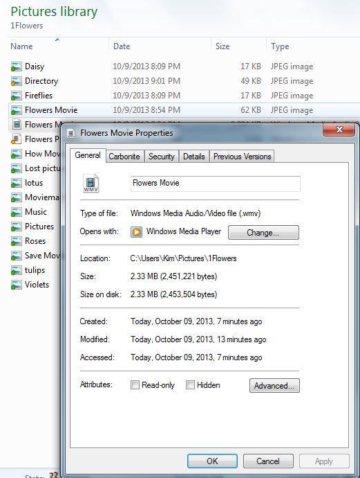 In the column labeled Type you can see that one is a Windows Media Audio/Video File (the movie file) and the other is a Windows Live Movie Maker Project file (the project file).