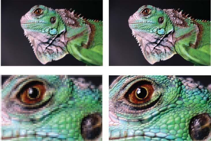 Most smallformat LCD monitors use 6Bit dithered panels Dithering is an electronic optical illusion in which nearby pixels display slightly varying shades or colors to trick the human eye into