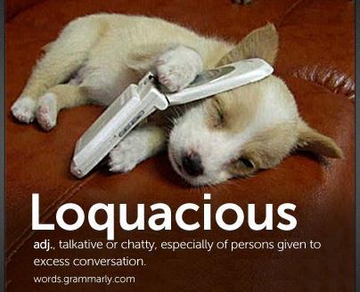 Loquacious Adjective Tending to talk freely and a lot; talkative