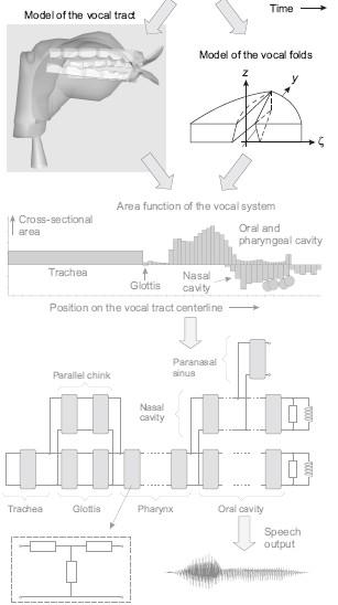 Articulatory synthesis Overview (1) 3D wireframe representation of male vocal tract Parameters determined by MRIimages for German vowels