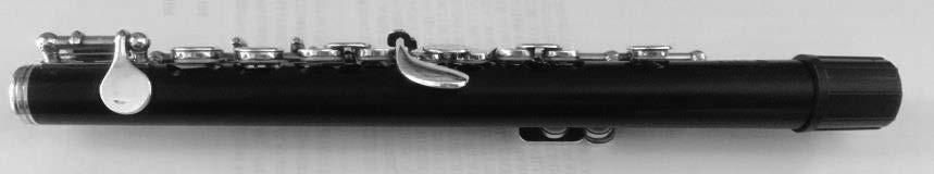 The bore determines the path of the flow of air through the piccolo which in turn affects the nature and quality of a piccolo s tuning tendencies.