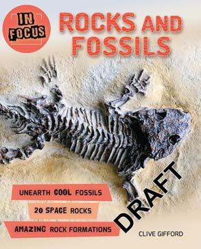 KINGFISHER 2018 JUVENILE NONFICTION / SCIENCE & NATURE / FOSSILS CLIVE GIFFORD In Focus: Rocks and Fossils Unearth some fantastic fossils and inspect unbelievable rock formations that have been