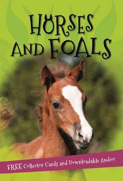 KINGFISHER MAY 2018 JUVENILE NONFICTION / ANIMALS / HORSES EDITORS OF KINGFISHER It's all about.