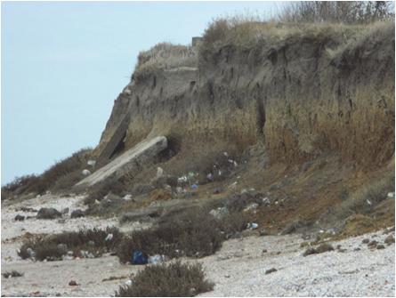 Se constată o eroziune în partea de nord a plajei şi depuneri în partea de sud ca efect al digurilor ce delimitează plaja.