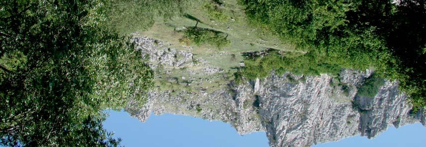 Rezervaţia Naturală CHEILE TURULUI Cheile Tur ului (denumite local şi Cheile Tureni sau Turenilor) au fost înfiinţate în anul 1993, ca rezervaţie naturală mixtă (floristică, faunistică, peisagistică)