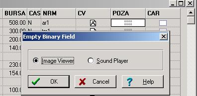 Pentru adăugare fişier de sunet la un câmp BIN se selectează Sound Player şi OK va apare Stop şi Play.