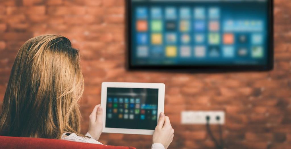 Within the TV subscription market there are two established companies leading the segment, Swisscom and UPC. Both offer a full package of TV channels as well as VoD services.