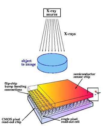 34 X-ray source X-rays Object to image Semiconductor sensor chip CMOS pixel readout chip single pixel read-out cell Figure 1.8: Hybrid pixel detector application for X-ray radiation imaging [31].