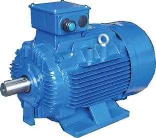 proof Figure 7: Induction Motor There are a few components which are able to provide safety, efficiency and