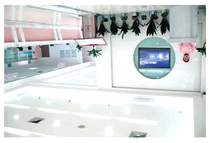 Corporate Lobbies Plasma is the ultimate high tech tool to display your company's products,