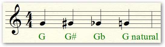 wwwlearnclassicalguitarcom All the above-mentioned notes are examples of accidentals An accidental is not