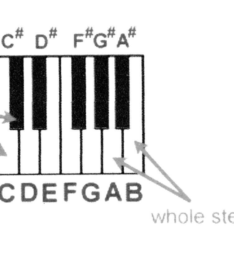 Intervals I. Intervals: A. The smallest interval used in Western music is the half step. A visual representation on the keyboard would be the distance between any two consecutive notes B.